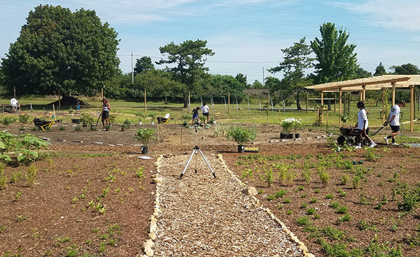 Food Lab at Southampton