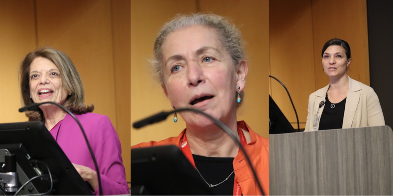 Second Panel of WHLS Speakers